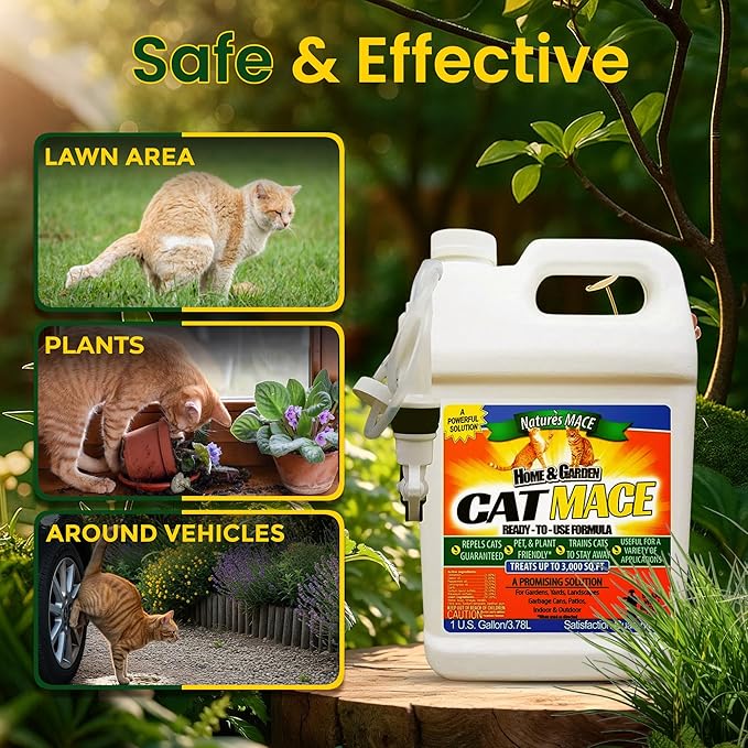 Nature's Mace Cat Mace Cat Repellent Pets Training Tool Outdoor &amp Indoor Home Liquid Spray Deterrent Landscaped Marking Anti-Scratch Garden &amp Furniture Protector Ready-to-Use 1 Gallo