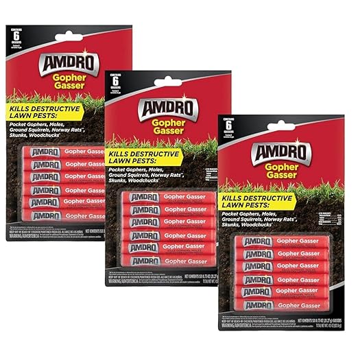 Gasser - This Bundle Pack Contains 3-Packs of Gopher Gassers Outdoor Fly Trap [2 Pack] - Non-Toxic Dissolvable Bait - Fly Control for Patios - Includes Hanging Ties