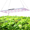 22 x 10 Grow Lights for Indoor Plants and Vegetables Full Spectrum LED Growing Lamp for Indoor Garden Greenhouse - Features Two Smart Light Mode 12~23H Timer - 1 Pack (1 Pack White)