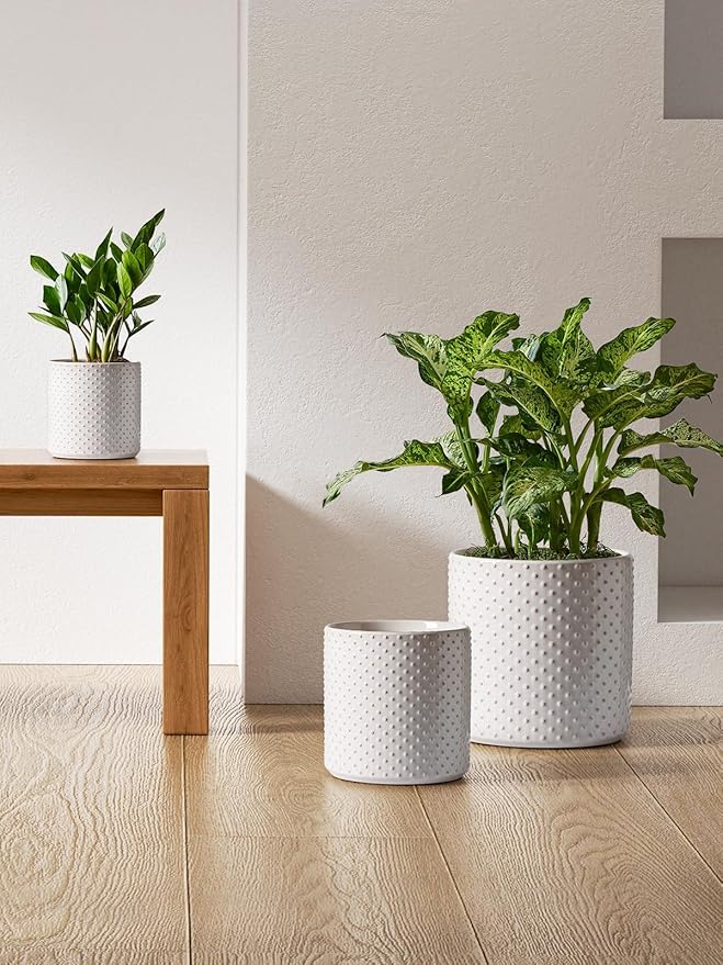 LE TAUCI Ceramic Pots for Plants 10/8/6 Inch Indoor Planters with Draiange Hole Silicone Plug &amp Mesh Pad Modern Rasied-Dots Pots for Home Office Set of 3 Glossy Arctic White
