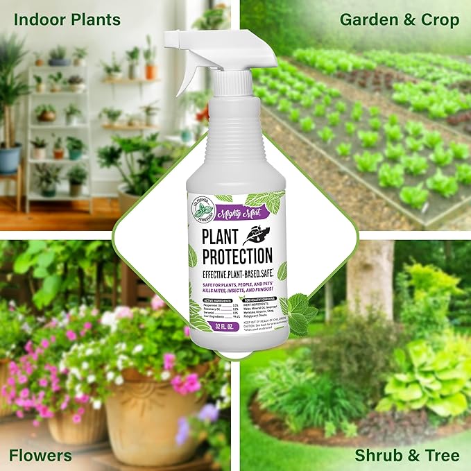 Mighty Mint Peppermint Oil Plant Protection Spray – Insect &amp Pest Control for Gnats Spider Mites &amp Aphids – Plant-Based Easy-to-Use with Microfiber Cloth- 32 oz