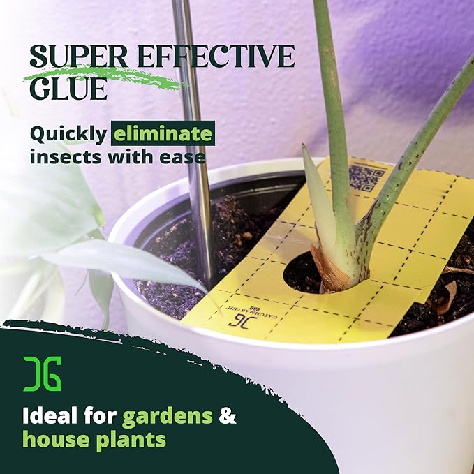 Catchmaster GRO Yellow Pre-Cut Ready to Use Sticky Traps 50PK Bug &amp Fly Trap with Center Hole for Crawling Insects Pest Control for Home Garden &amp Greenhouse Protect Live Plants Indoor &amp