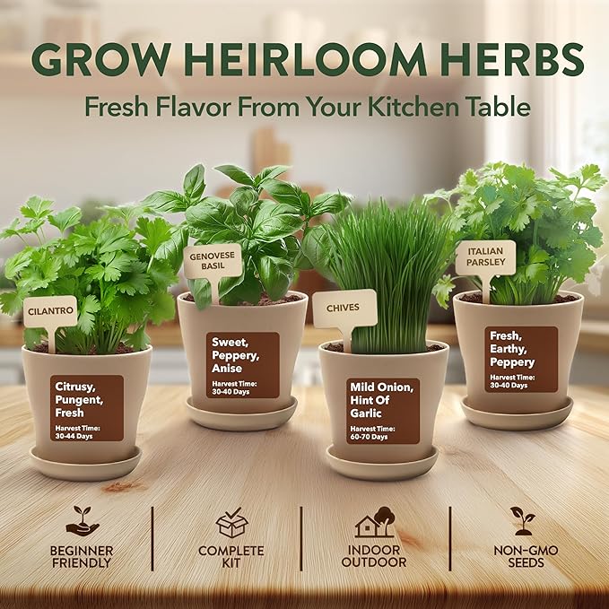 HOME GROWN Herb Garden Planter Indoor Kit – Unique Christmas Gift for Adults Men &amp Women - Grow 4 Heirloom Herb Seeds on Kitchen Window – Beginner DIY Craft &amp Hobby Gardening Gift for Plant