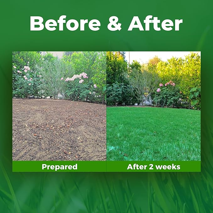Growtrax Biodegradable Grass Seed - 100 sqft Year Round Green - Grass Seed for Lawns Dog Patches &amp Shade - Just Water &amp Grow - No Fake or Artificial Grass