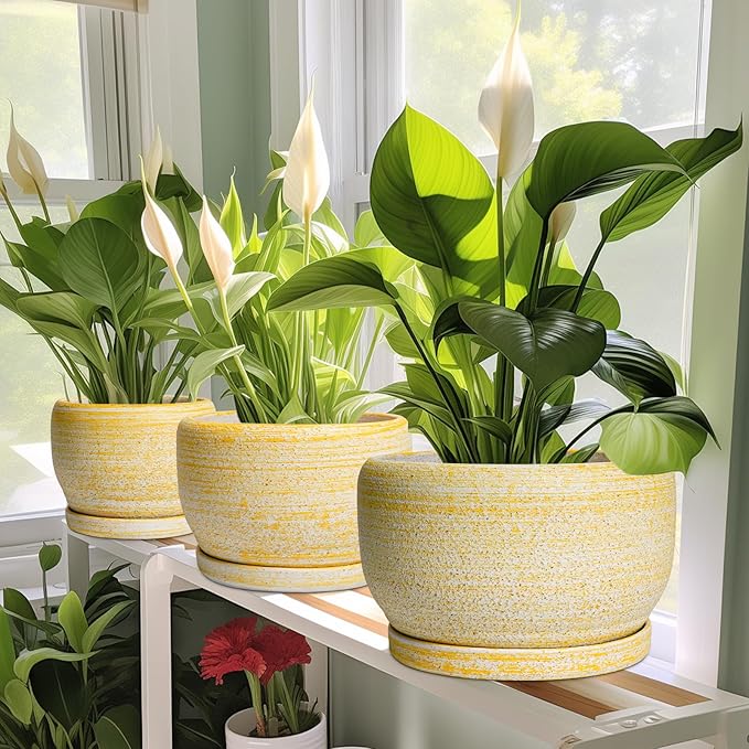 SQOWL Ceramic Flower Pots - 8 inch Plant Pot Indoor with Drainage Hole and Saucer Modern Ceramic Planter Outdoor Round Decorative Planter Living Room Home Decor Gifts for Plant Lovers Yellow