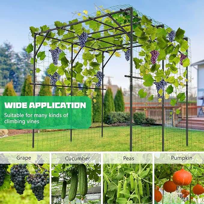 DoCred Large Garden Arch Trellis for Climbing Plants 79'' H x 79'' L x 79'' W Outdoor Grape Vine Trellis Arch Arbor Gazebo Grape Trellis for Climbing Plants Courtyard and Garden Decoration Black