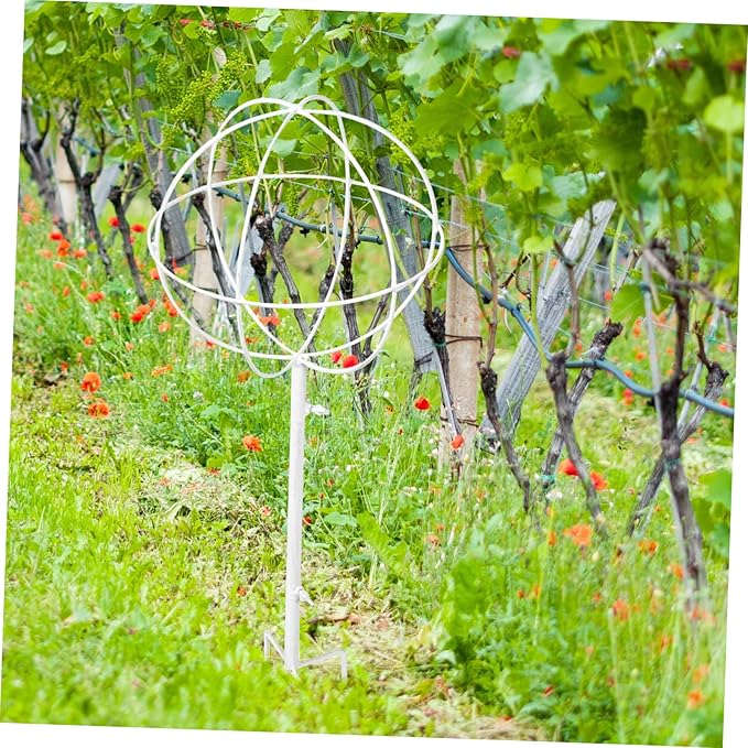 Metal Pergola Bracket Plant Support Sticks for Vines Climbing Roses Decorative Garden Trellis