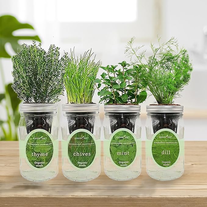 Hydroponic Herb Growing Kit Set Self-Watering Mason Jar Herb Garden Starter Kit Indoor New Christmas Gift for Mom (MintThymeChives&ampDill)