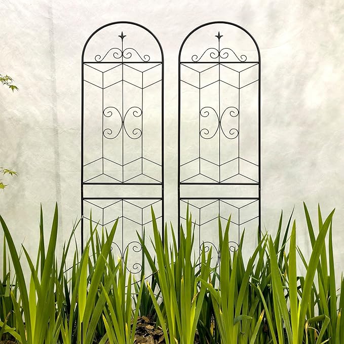 Garden Trellis Farmhouse Rustic Iron Arch Frame for Climbing Plants Heavy Duty Outdoor Metal Trellis for Garden Patio Yard Outdoor Wedding Decorations (Black B Pack of 2)