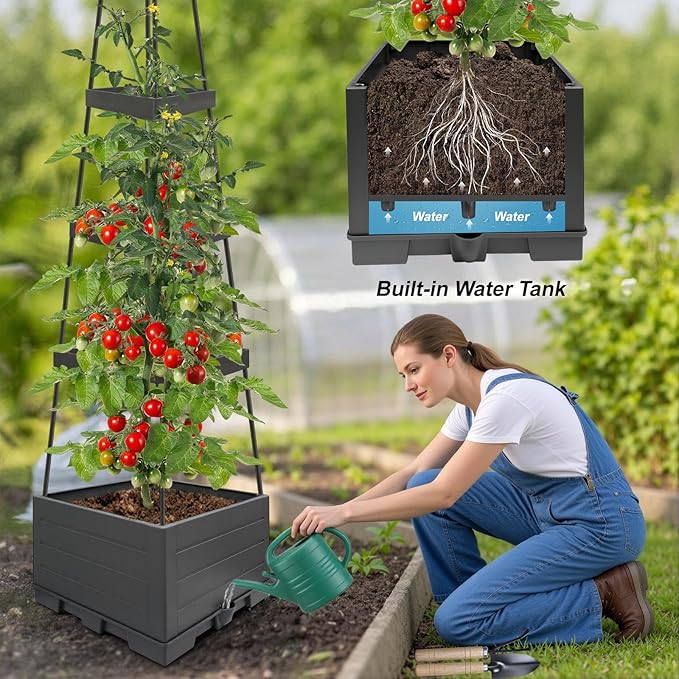 2Pack Raised Garden Bed Tomato Planter Box with Trellis Outdoor Tomato Cage Trellis for Garden Climbing Plants Outdoor Indoor 57 Self Watering Raised Beds for Gardening Tomatoes Vegetable Growing