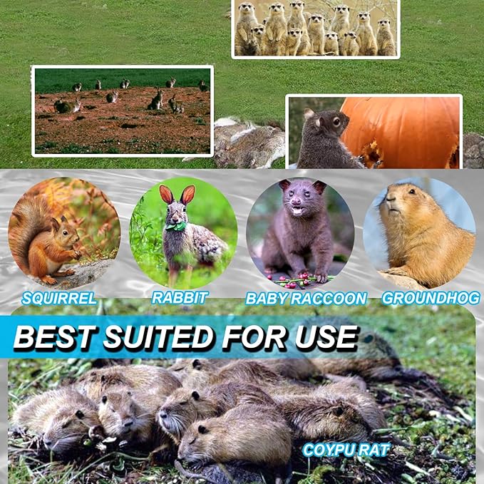 2 Pack Best Mole Rat Trap Repellent Kit Stainless Steel Professional Grade Weatherproof-ReusableEasy Set Below Ground (M-6IN)
