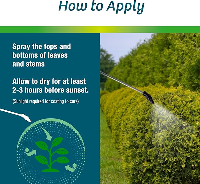 Wilt-Pruf® Concentrate | Protect Against Winter Damage Drought and Stress | Just Spray &amp Let Dry | Locks in Moisture w/Clear Foliar Film | Professional-Grade &amp Trusted | Replaces Burlap | (1
