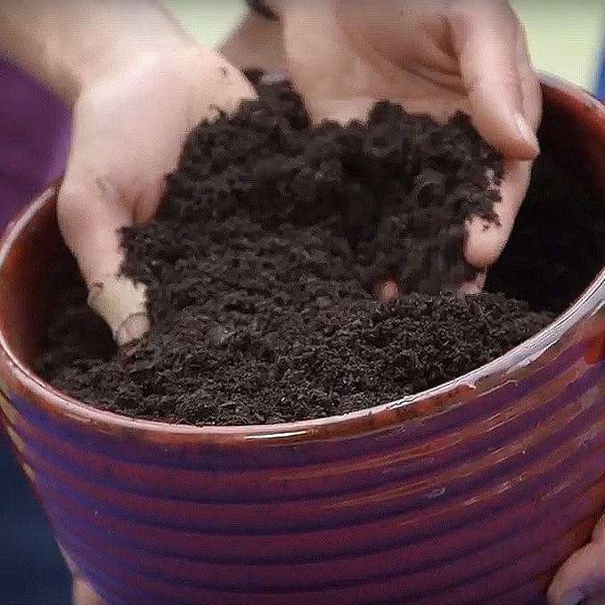 Coast of Maine Organic &amp Natural Castine Blend Soil - Nutrient-Rich Garden Soil w/Mycorrhizae Biochar - Enhanced Drainage &amp Aeration - for Raised Bed Gardening &amp Container Gardening (2 cu