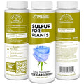 Sulfur Fertilizer for Plants – Soil Amendment for Healthier Boosted Growth Liquid Plant Food 32 oz (1 Quart)