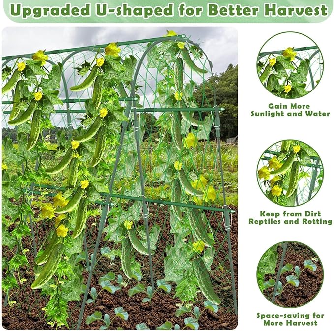 Plant Climbers Cucumber Trellis with Climbing Net &amp Detachable Support Cucumber Trellis for Garden for Towel Gourd Grape Pea Cucumber Tomato(3 Arches(120cm*120cm))