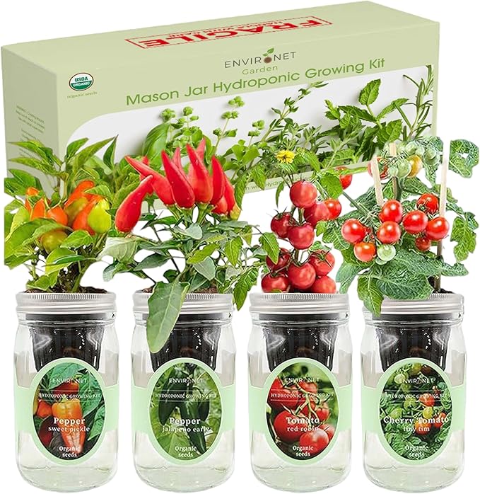 Hydroponic Herb Growing Kit Set Self-Watering Mason Jar Herb Garden Starter Kit Indoor Grow 4 Kinds of Herbs from Seeds (2 Tomato &amp 2 Pepper)