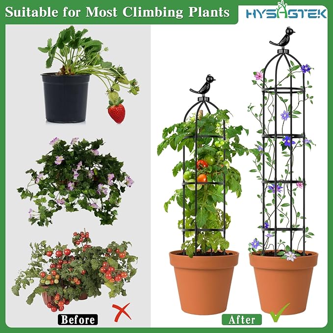 Hysagtek 2 Pack Garden Obelisk Trellis for Climbing Plants Garden Outdoor Indoor Potted Plant Support Removable Obelisk Trellis with 20 Plant Clips