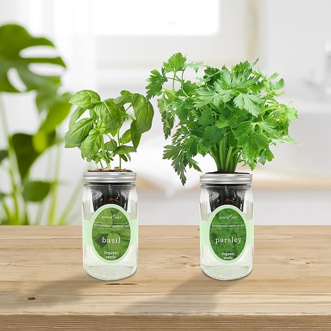 2-Pack Hydroponic Mason Jar Herb Garden Kit Indoor Herb Garden Self-Watering Starter Kit (Basil Parsley)