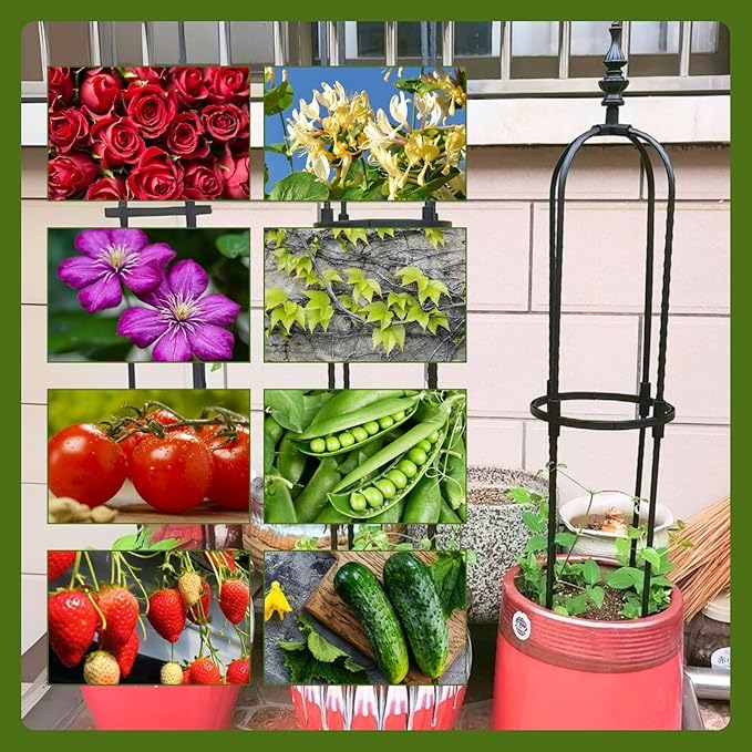 2 3 4 5 6ft Tall Garden Trellis for Climbing Plants Metal Obelisk Tower Support Outdoor Indoor for Sweet Pea Frame Rose Trellis Potted Plants Clematis Vegetables Pea Tomato Fruits(Black28 x 90cm/0.9