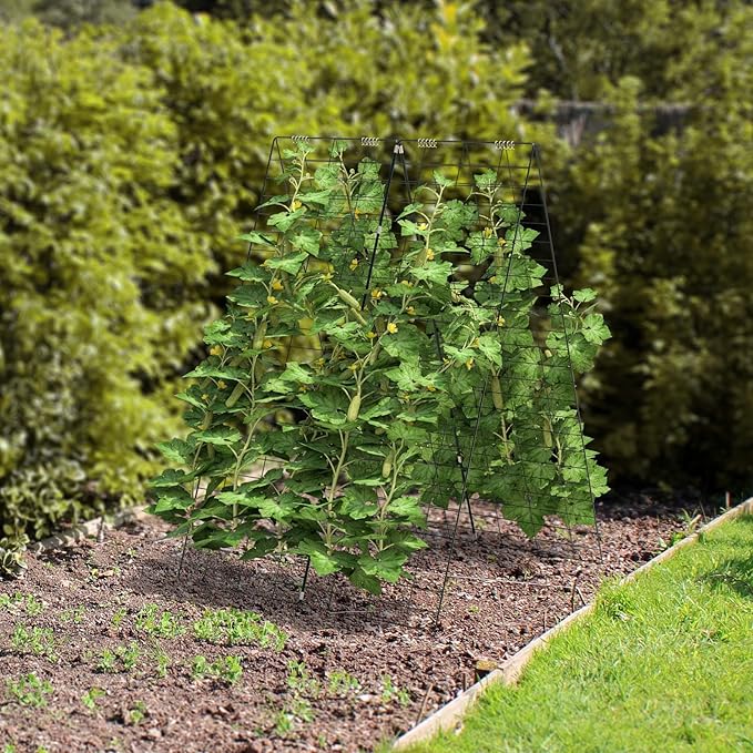 2PCS Premium Garden Cucumber Trellis Garden Trellis for Climbing Plants Vegetables Green