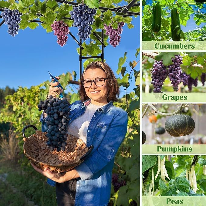 DoCred Large Garden Arch Trellis for Climbing Plants 87 H x 118 L x 79 W Large Grape Vine Trellises Arch Arbor Gazebo Grape Trellis for Outdoor Courtyard and Garden Decoration Black