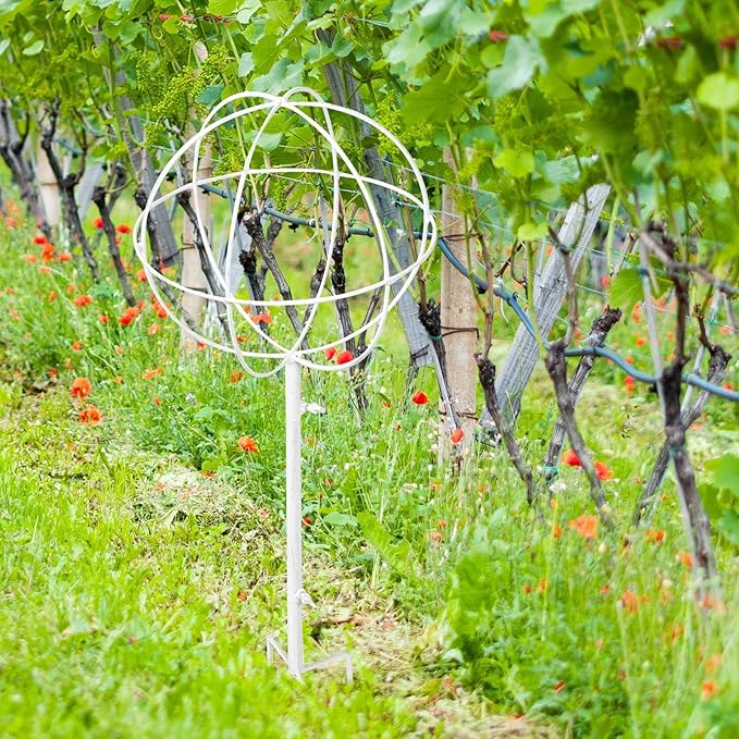 Vintage White Metal Vine Plant Trellis Climbing Support Stand for Garden and Indoor Plants Spherical Climbing Frame for Jasmine Clematis
