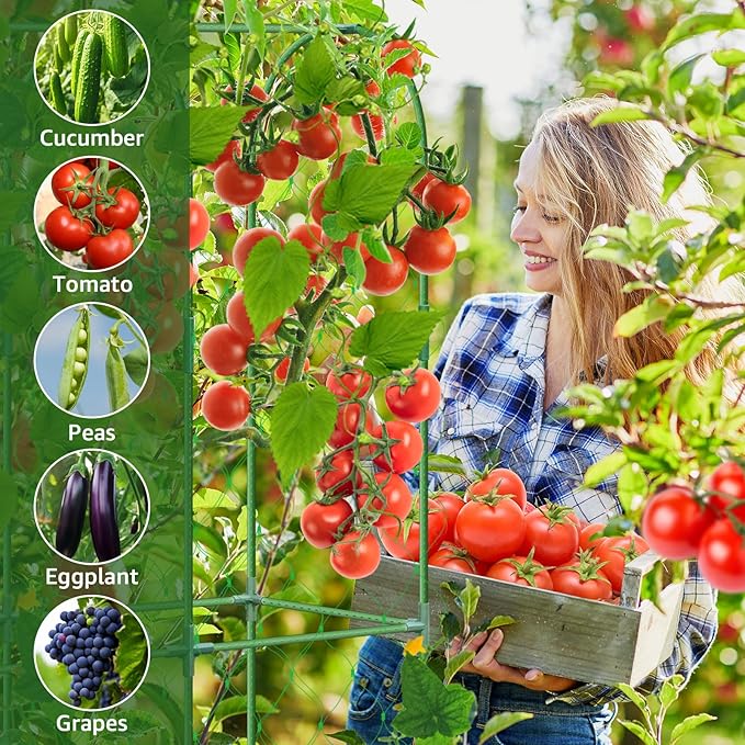 65×48 Upgrade Heightened Cucumber Trellis for Raised Bed U-Shape Garden Trellis for Climbing Plants Outdoor Metal Arch Trellis for Fruit Vegetable Flower