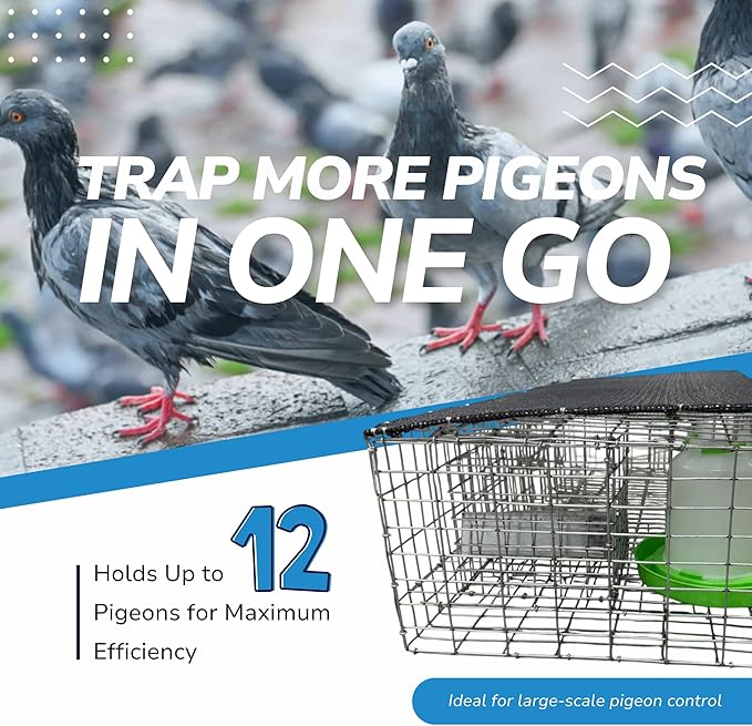Bird Barrier Humane &amp Durable Pigeon Trap | Secures Up to 12 Pigeons | 3 One-Way Doors with Guards | Easy Transport &amp Setup | 35x16x8 with Center Access | Lightweight 10 lbs Bird Management