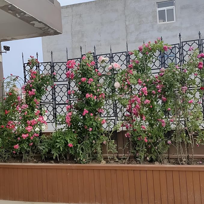 Foldable Garden Trellis Support Netting for Climbing Plants Fencing Decorative 150cm 190cm 220cm 280cm Width 85cm PP Grid Design Easy to Install(White85 * 150cm)