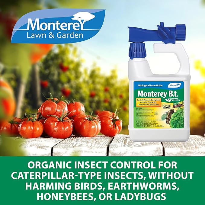 Monterey - B.t. Bacillus Thuringiensis Bundled with Garden Measuring Spoon - Ready to Spray Worm &amp Caterpillar Killer Insecticide OMRI Listed - 32 oz