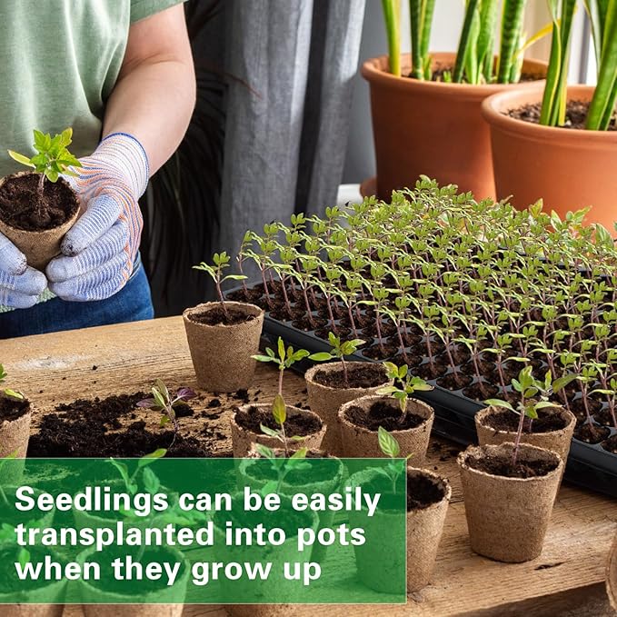 Dandat 100 Pack 200 Cells Reusable Seed Starting Trays Seedling Trays Plant Germination Trays Propagation Tray Plastic Seed Starter Trays with Drain Holes for Growing Seedlings Planting Indoor Garden