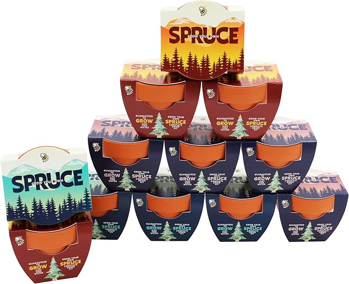 BUZZY Seeds Spruce Tree 12-Pack Mini Terracotta Grow Kits – Sustainable Tree Growing Kit Includes Everything to Sprout Evergreens Perfect for Earth Day Party Favors or Corporate Gifts