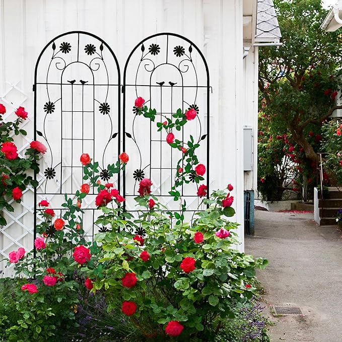 2 Pack Large Garden Trellis Heavy Duty Rustproof Iron Plant Trellis for Potted Plant Support Metal Climbing Rose Trellis Vine Vegetable CucumberBlack-71 H x 19.7 W