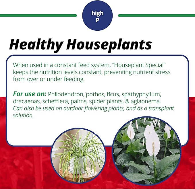 Jack's Classic 15-30-15 Houseplant Special Water-Soluble Fertilizer with Micronutrients to Green-Up and Increase Blooms in Houseplants 8oz 5 Pack