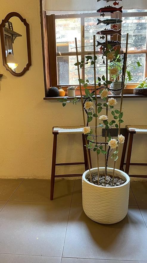 Natural Bamboo Trellis 3Feet3PackFan-Shaped Plant Support Trellis for Outdoor and Indoor Potted Climbing PlantsVegetables Cucumber Tomato Hoya