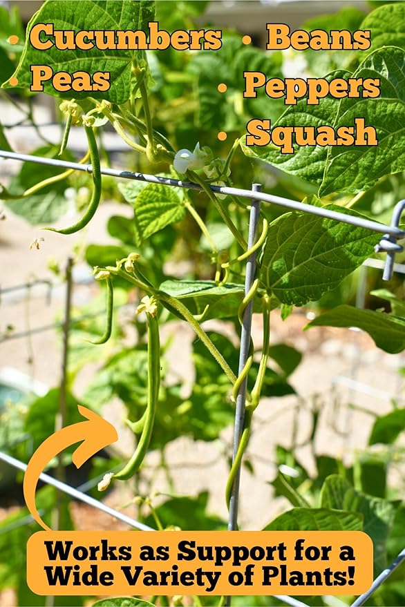 Happy Trees Large Heavy Duty Tomato Cages - Support Trellis for Climbing Vegetables and Plants - 18 x 18 x 58 - Thick Gauge Galvanized Steel Collapsible Easy Storage 3-Pack Made in USA