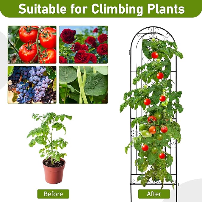 EEBABUO 2-Pack Rustproof Iron Garden Trellis for Climbing Plants - 16x61 Inch Sturdy Metal Plant Support with Arched Design &amp Easy Installation (Black)
