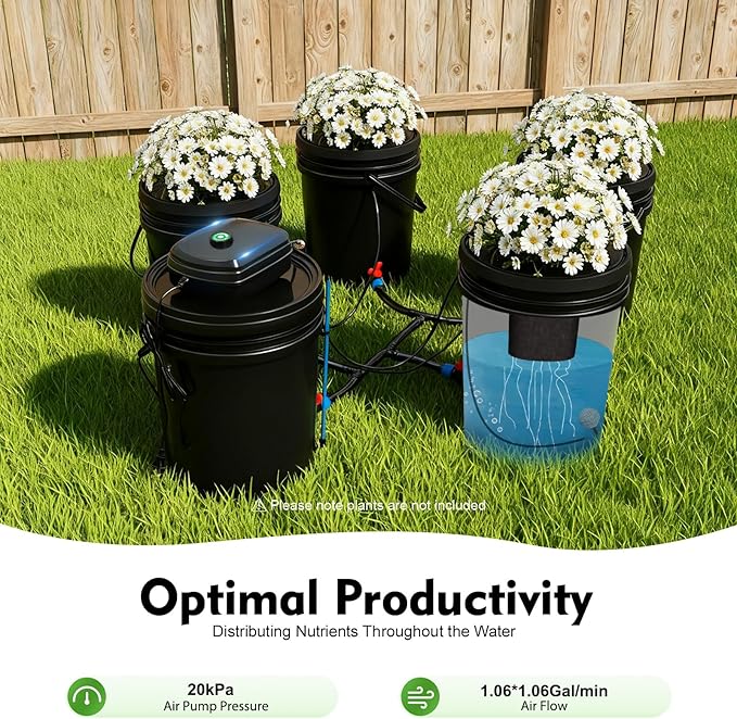 Indoor Hydroponics Growing System 5 Gallon Round Bucket Deep Water Culture DWC Hydroponic Grow System Kit 5-Bucket Garden Kit with Pump&amp Air Stone and Water Level Device for Leafy Vegetables