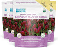 Back to The Roots 100% Organic Crimson Clover Cover Crop Seeds Covers ~1000 sq. ft.