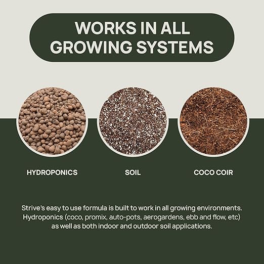 Strive Fertilizer Part B Package - Veg + Bloom General Hydroponic Nutrients - Premium Indoor Outdoor and Soil Growing Plant Food - Enhancer - Booster for Vegetables Succulents Flowers &amp More