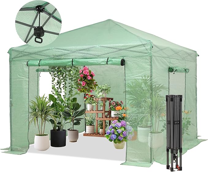 GDY 10X10FT Instant Pop-up Greenhouse Walk-in Plant Gardening Green House with PE Cover/Roll-Up Zipper Doors/Side Windows for Indoor Backyard and Outside Green/Clear.