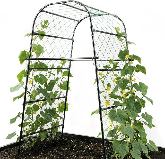 Extra Tall Garden Arch Trellis for Cucumber Heavy-Duty Rust-Resistant Powder-Coated Steel Vertical Support for Large Vining Vegetables (47”W x 79”H)