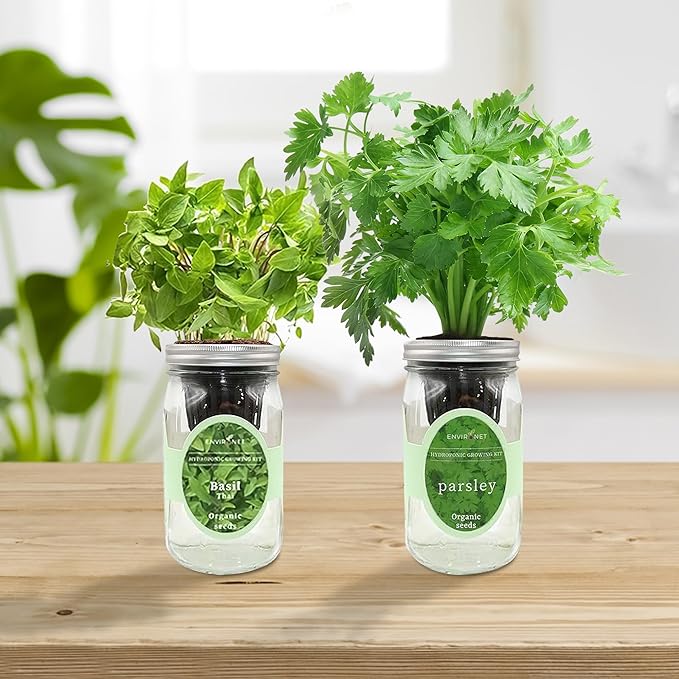 2-Pack Hydroponic Mason Jar Herb Garden Kit Indoor Herb Garden Self-Watering Starter Kit (Thai BasilParsley)