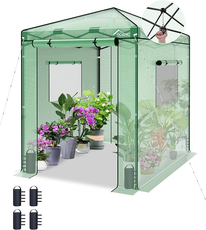 8x6 Instant Pop up Greenhouses Indoor Outdoor Portable Greenhouse Walk-in Small Green House for All Season with Roll-Up Zipper Doors and Side Windows 4 Sandbags Pe Cover Green/Clear