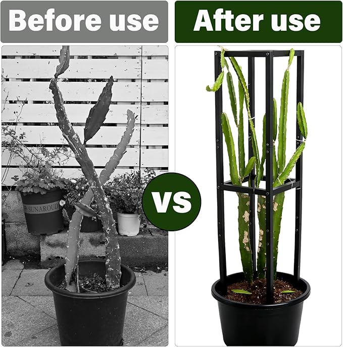 48x12 Inches Dragon Fruit Trellis for Climbing Plants - Premium Quality Metal Support Stand Weather-Resistant &amp Durable for Gardeners and Plant Enthusiasts