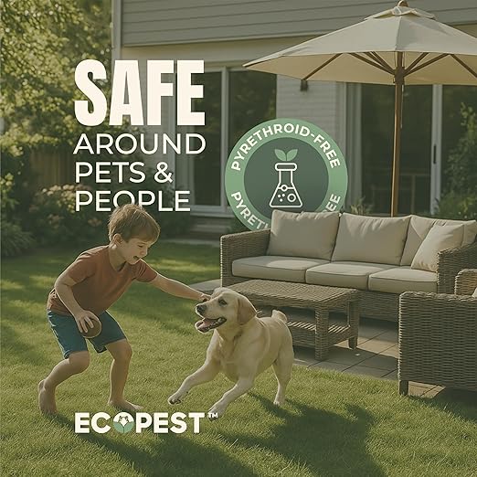 Carpet Beetle Spray – Natural Plant-Based Killer for Carpet Beetles Larvae &amp Eggs | Fabric &amp Furniture-Safe Home Treatment for Indoor Use | Child &amp Pet Safe Low Odor Eco-Friendly (128