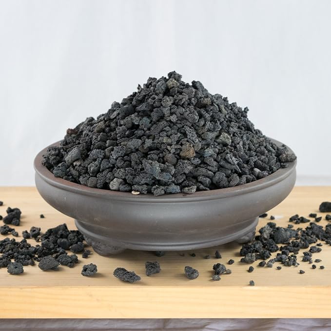 3 Gal. - 1/16 to 1/2 Horticultural Black Lava for Cactus &amp Succulent Bonsai Tree Soil Mix - Inorganic Additive (3GAL BK Lava L)