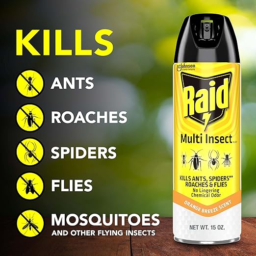 Raid Multi Insect Killer Aerosol Kills Ants Spiders Roaches and Flies No Lingering Chemical Odor Indoor and Outdoor Use 15 Ounce (Pack of 6)