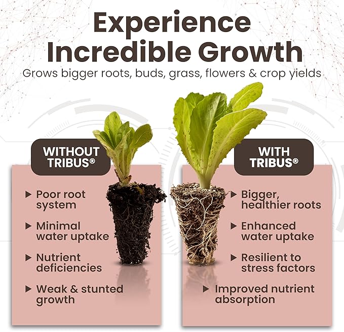 Tribus Organic Microbial Inoculant | Root Booster for Plants Increases Plant Yield Root Growth Flower &amp Fruit Quality | Made in The USA | Visible Root Growth in 24Hrs | Potent Rhizobacteria 16.