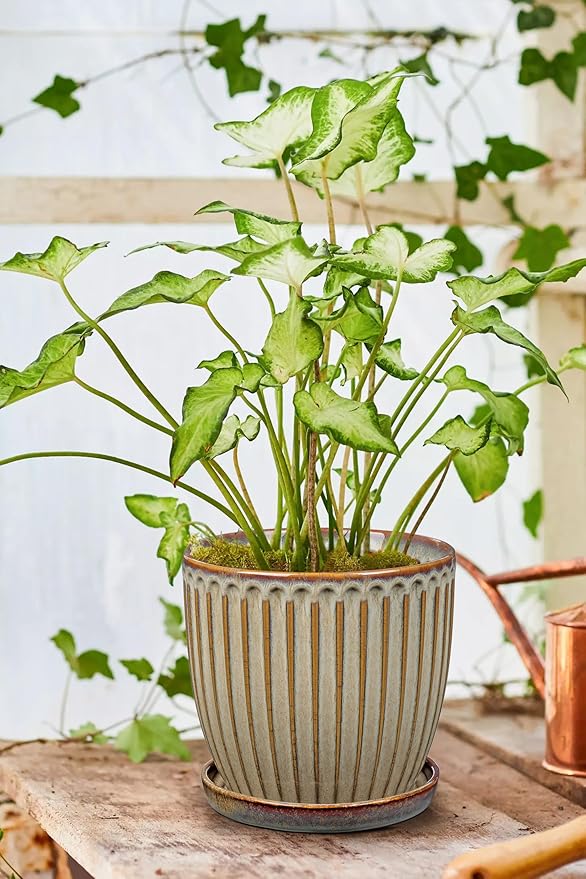 Oairse Ceramic Pots for Indoor Plants 7.8 inch Pots for Plants Brown Planters with Drainage Holes and Saucers Texture Ceramic Planters Indoor Outdoor for Succulent